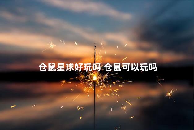 仓鼠星球好玩吗 仓鼠可以玩吗